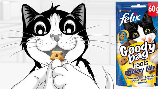 Felix Goody Bag Cat Treats Full of Flavour Purina